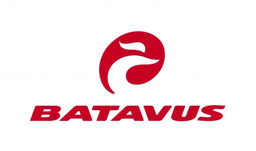 /image/data/logo-batavus-1.jpg